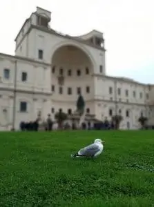 ישראלים ברומא