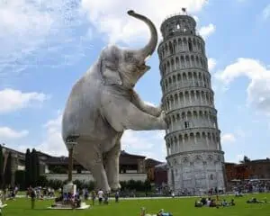 pisa