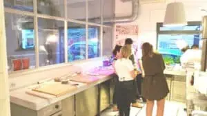 Pasta Professional Lab Experience