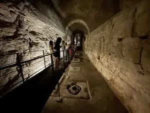 קולוסיאום תחתית