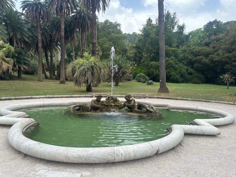 Botanical Garden of Rome