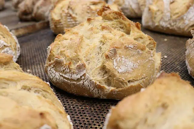 The Baker of Sardinia